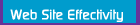 Web Site Effectivity